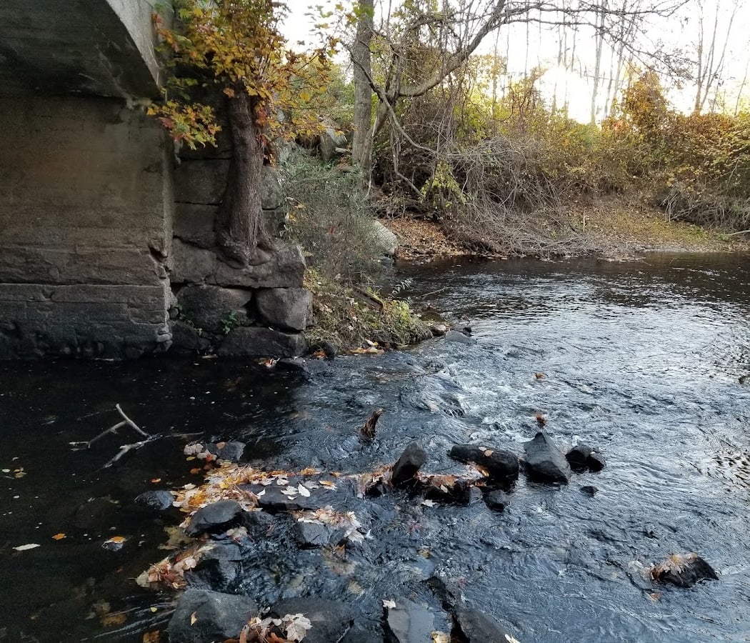 Beaver Brook Market 5